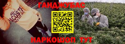 крисы Сланцы