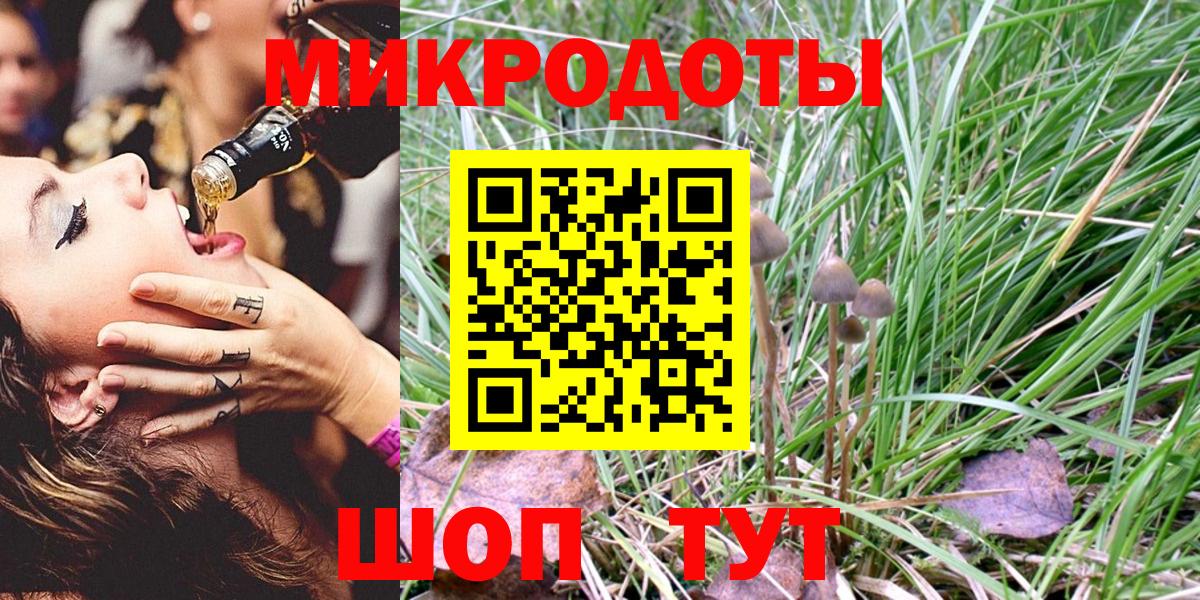 Псилоцибиновые грибы Cubensis Балашиха